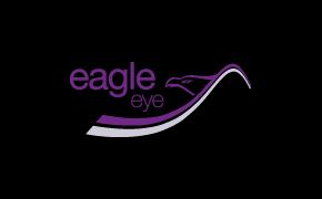 Eagle Eye Logo